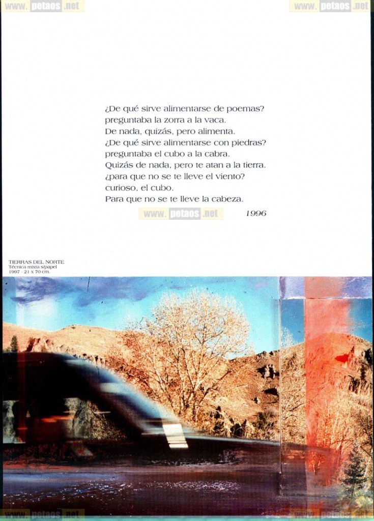 Arena en los bolsillos_Expo_2