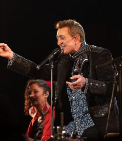 Carta a Manolo García: Shoganai (Jose Lucena)